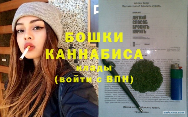 стаф Каменка