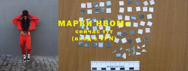 стаф Каменка