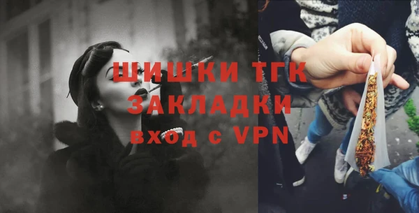 стаф Каменка