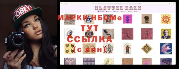 стаф Каменка
