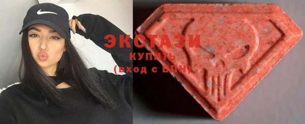 стаф Каменка