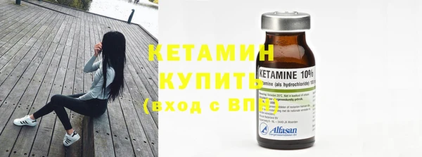 стаф Каменка