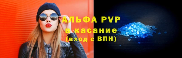 соль ск Каменногорск
