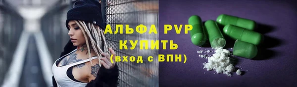 стаф Каменка