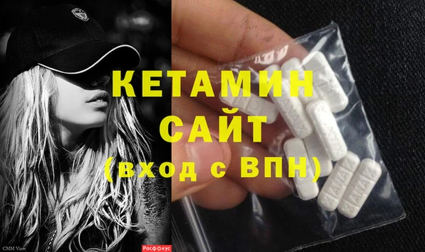 стаф Каменка
