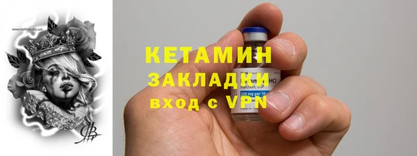 стаф Каменка