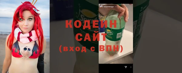стаф Каменка
