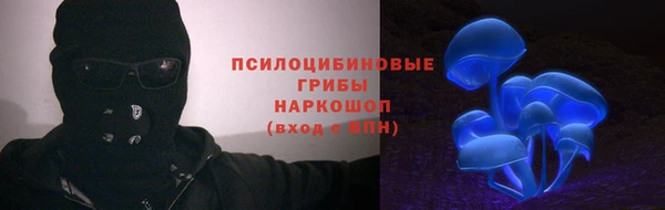 стаф Каменка
