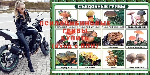 стаф Каменка