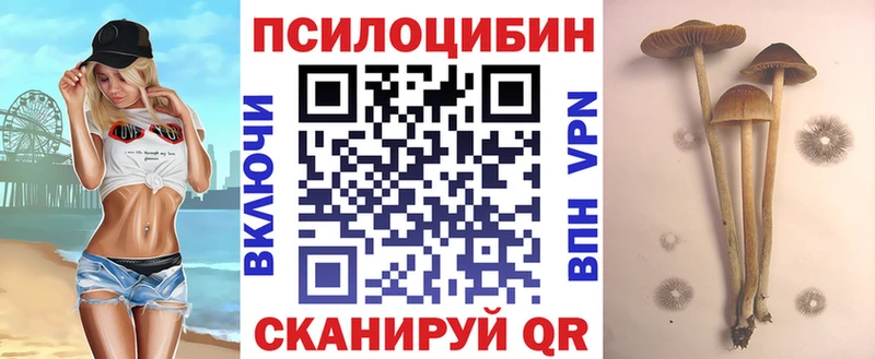 Галлюциногенные грибы прущие грибы Кизилюрт