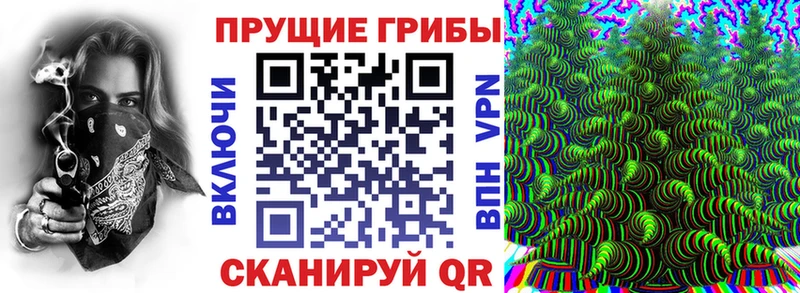 где купить наркотик  Кизилюрт  Галлюциногенные грибы MAGIC MUSHROOMS 