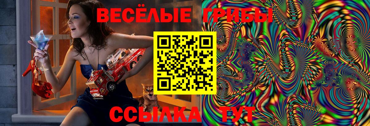 Галлюциногенные грибы мицелий Кизилюрт