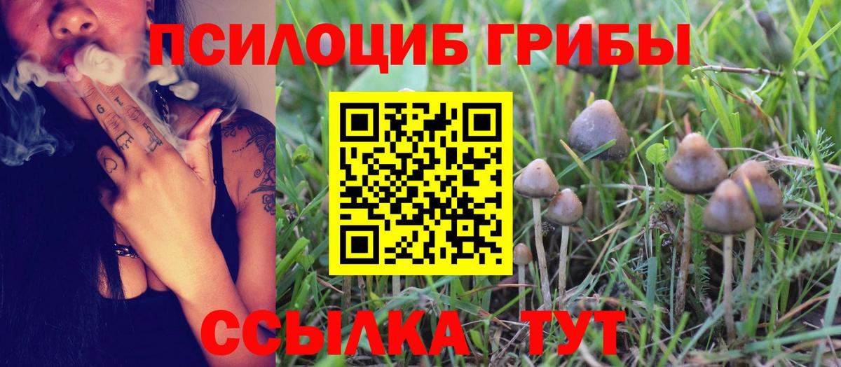 Галлюциногенные грибы MAGIC MUSHROOMS  Галлюциногенные грибы ЛСД  Кизилюрт 