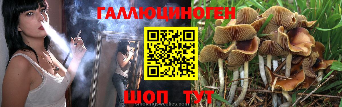 МЕТАДОН Кизилюрт