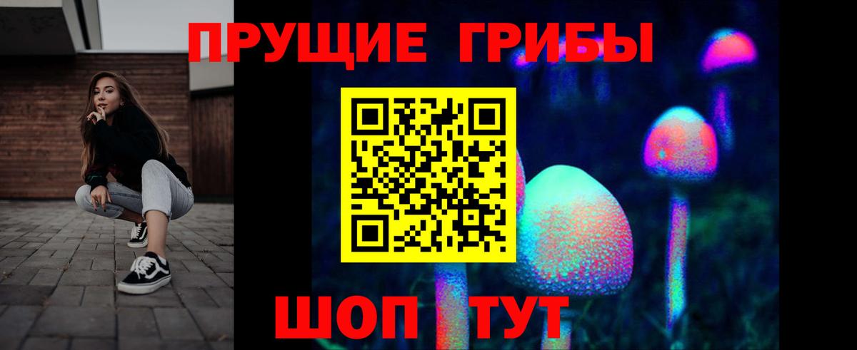 Псилоцибиновые грибы прущие грибы  Вход с VPN  Псилоцибиновые грибы GOLDEN TEACHER  Кизилюрт 
